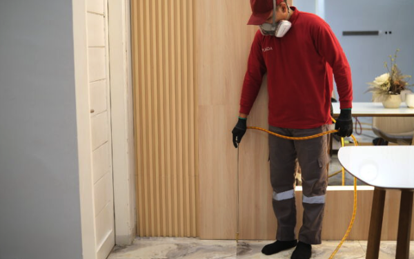 jasa anti rayap surabaya