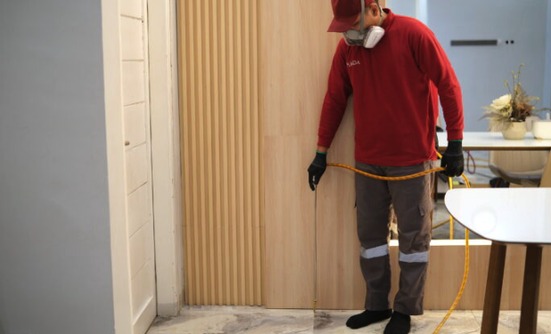 jasa anti rayap surabaya